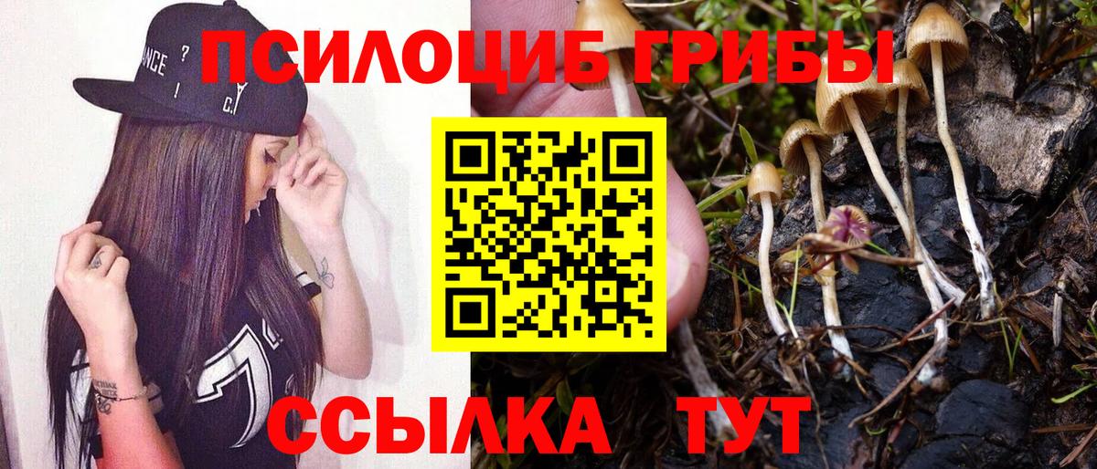 Галлюциногенные грибы Psilocybine cubensis  Псилоцибиновые грибы прущие грибы  магазин продажи наркотиков  Кашира  Вход с VPN 