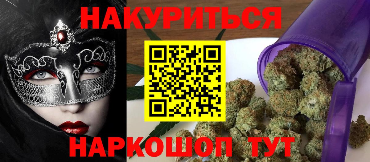 Кашира  Бошки марихуана планчик  Бошки марихуана сатива  Бошки Шишки семена  Вход с VPN 